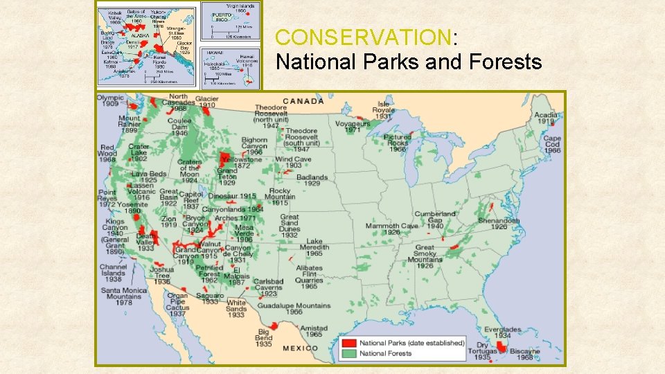 CONSERVATION: National Parks and Forests 