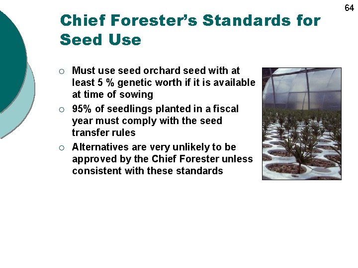 Chief Forester’s Standards for Seed Use ¡ ¡ ¡ Must use seed orchard seed