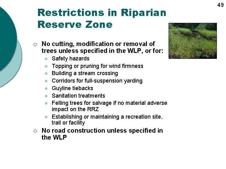 Restrictions in Riparian Reserve Zone ¡ No cutting, modification or removal of trees unless