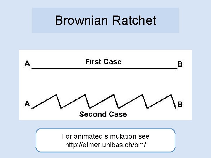 Brownian Ratchet For animated simulation see http: //elmer. unibas. ch/bm/ 