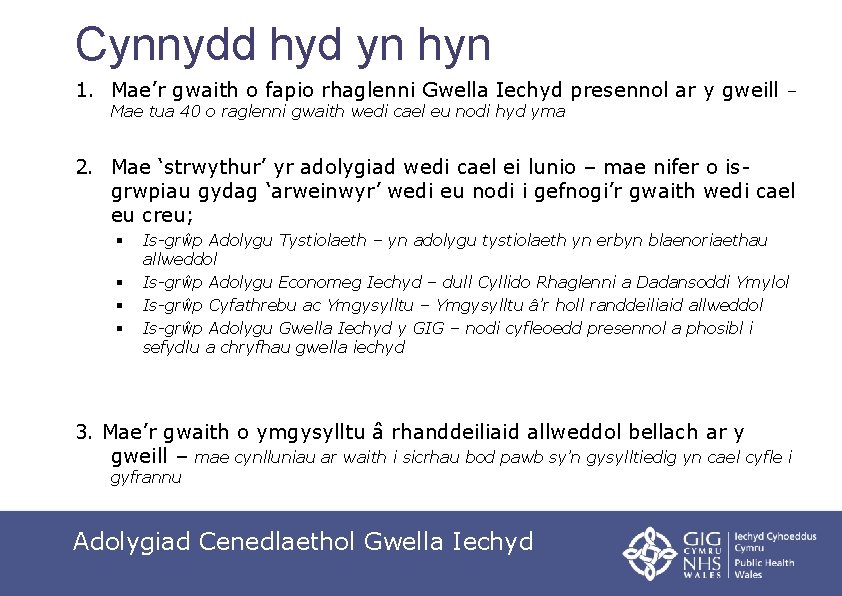 Cynnydd hyd yn hyn 1. Mae’r gwaith o fapio rhaglenni Gwella Iechyd presennol ar