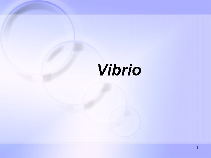 Vibrio 1 