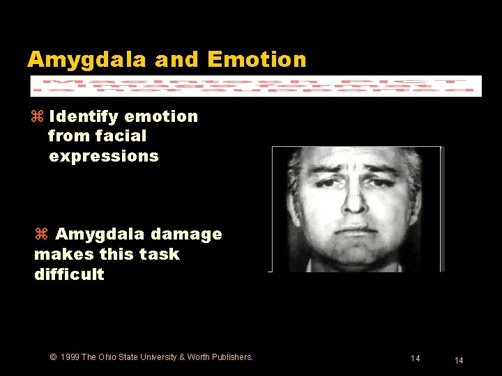 Amygdala and Emotion z Identify emotion from facial expressions z Amygdala damage makes this