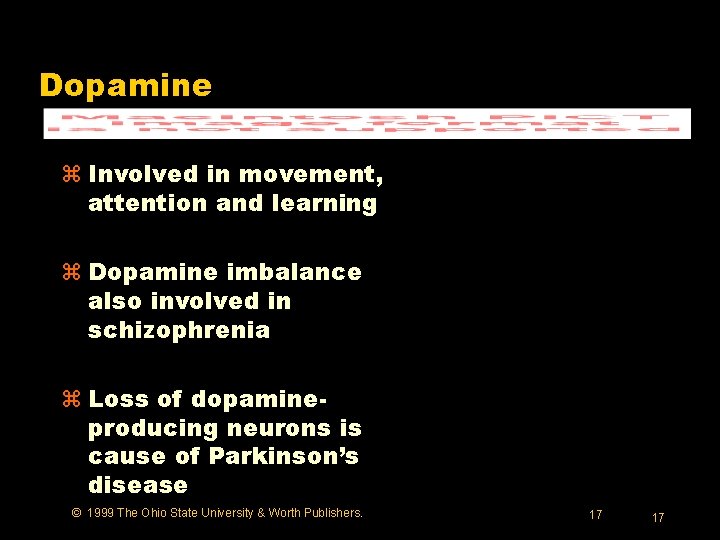 Dopamine z Involved in movement, attention and learning z Dopamine imbalance also involved in
