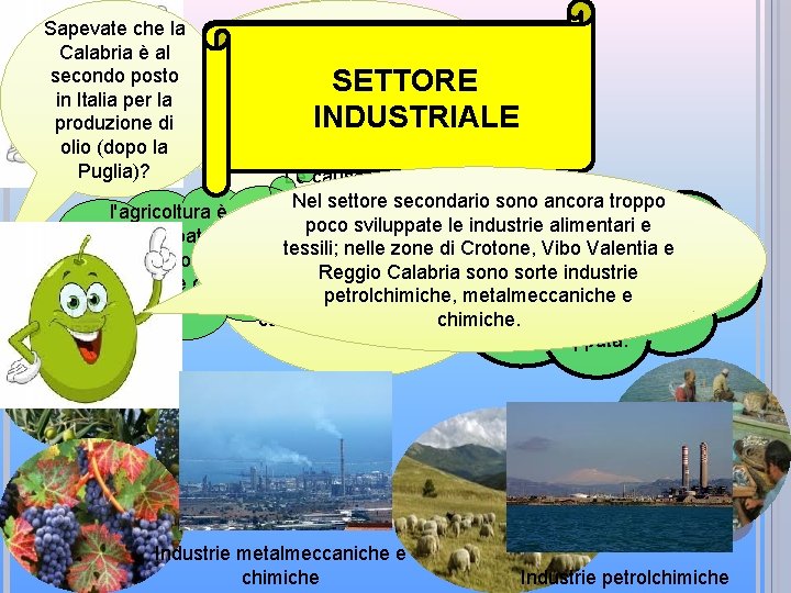 Sapevate che la Calabria è al secondo posto in Italia per la produzione di