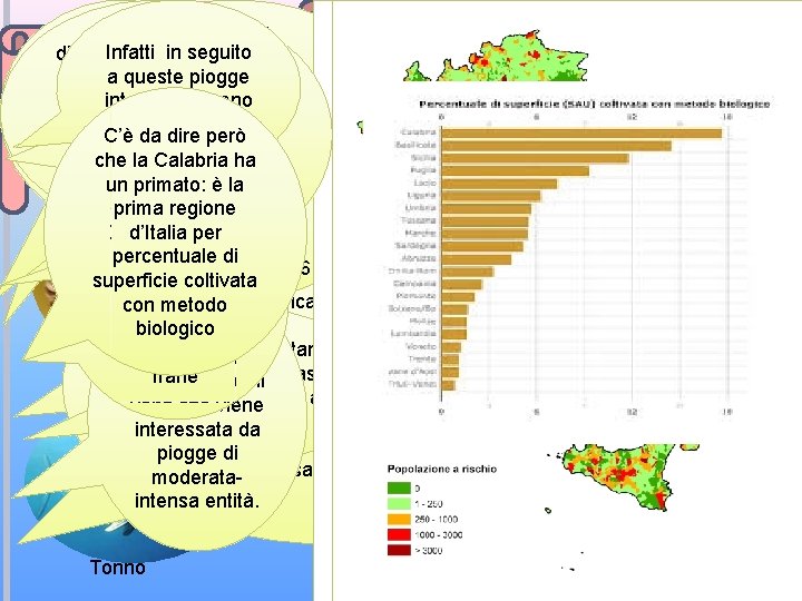 Ad esempio le Il rischio E molti altri come La quasi totalità Con questa