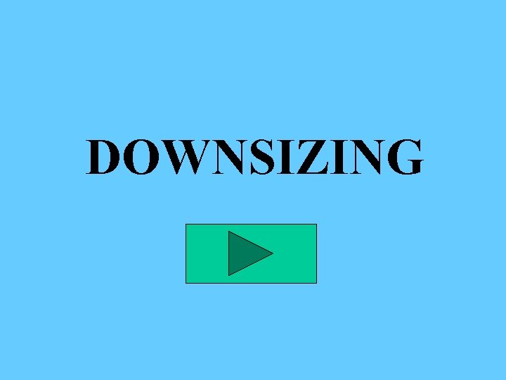 DOWNSIZING 