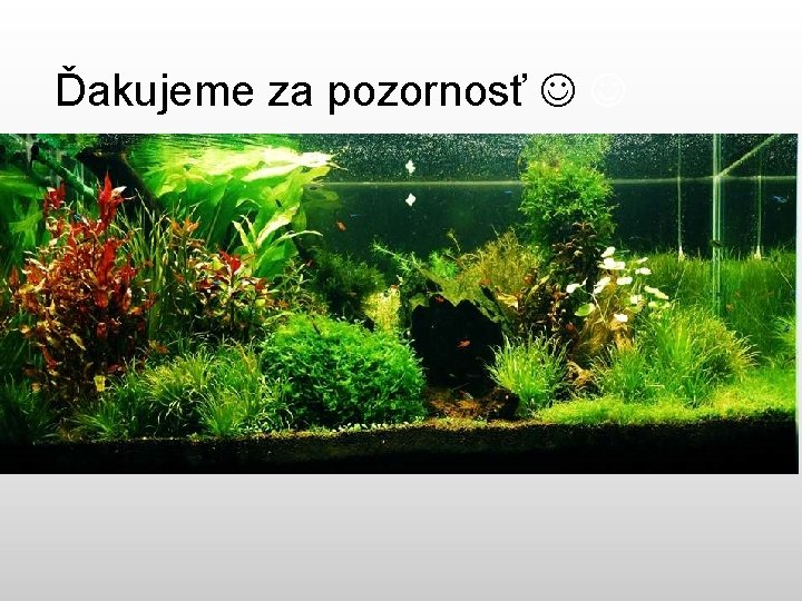 Ďakujeme za pozornosť 