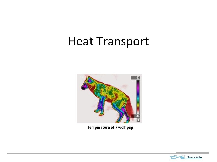 Heat Transport Temperature of a wolf pup Clemson Hydro 