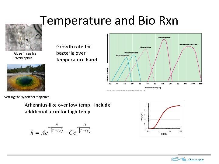 Temperature and Bio Rxn Algae in sea ice Psychrophile Growth rate for bacteria over