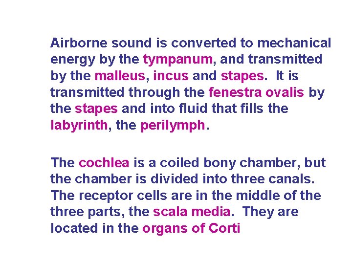 Airborne sound is converted to mechanical energy by the tympanum, and transmitted by the