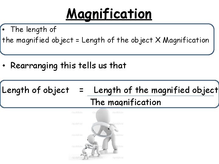 Magnification • The length of the magnified object = Length of the object X