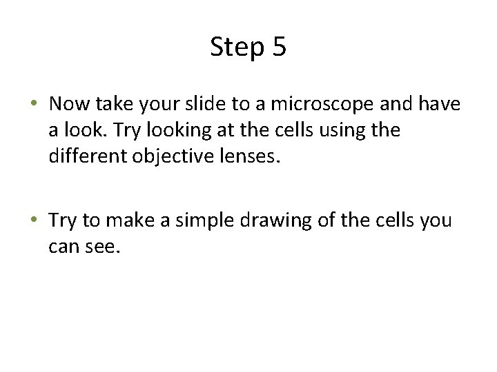 Step 5 • Now take your slide to a microscope and have a look.