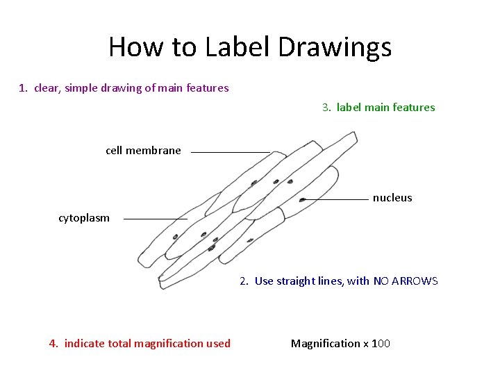 How to Label Drawings 1. clear, simple drawing of main features 3. label main