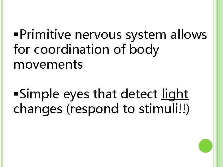 §Primitive nervous system allows for coordination of body movements §Simple eyes that detect light