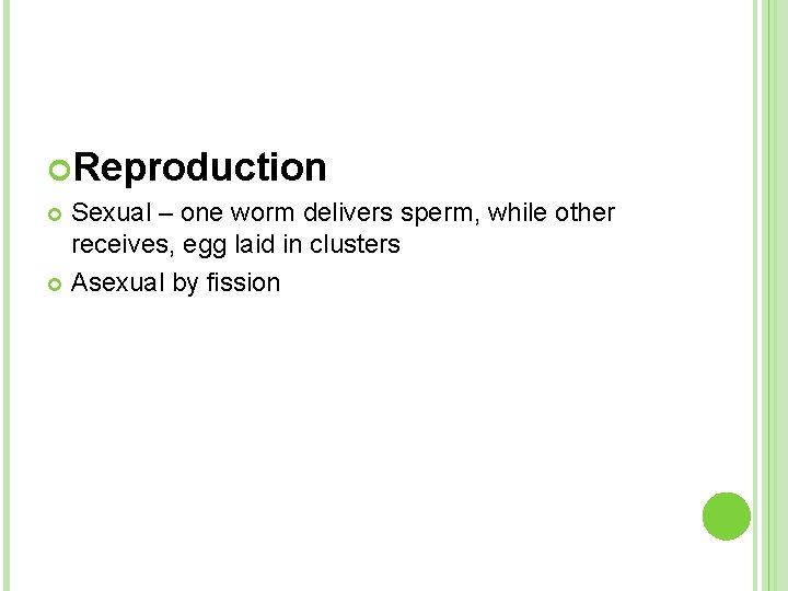  Reproduction Sexual – one worm delivers sperm, while other receives, egg laid in
