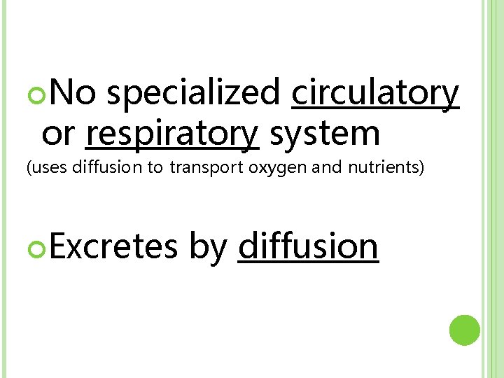  No specialized circulatory or respiratory system (uses diffusion to transport oxygen and nutrients)