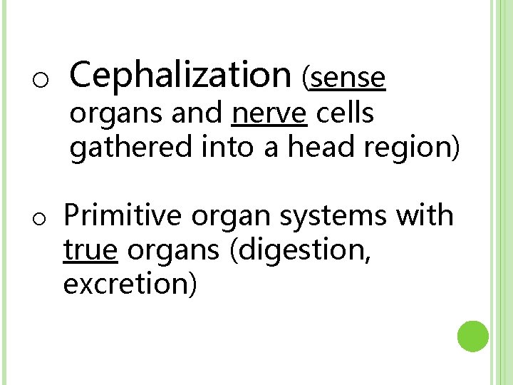 o Cephalization (sense organs and nerve cells gathered into a head region) o Primitive