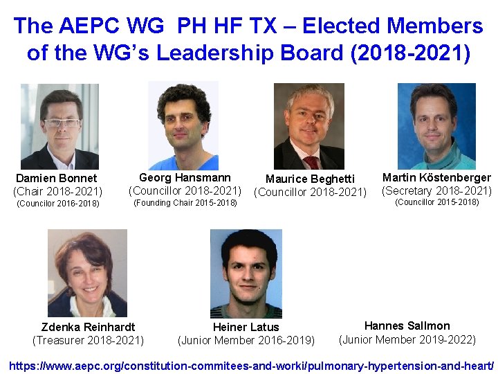 The AEPC WG PH HF TX – Elected Members of the WG’s Leadership Board