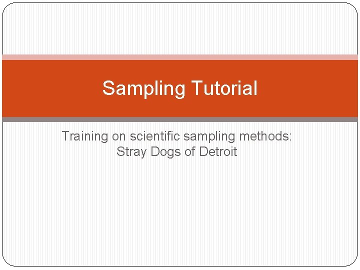 Sampling Tutorial Training on scientific sampling methods: Stray Dogs of Detroit 