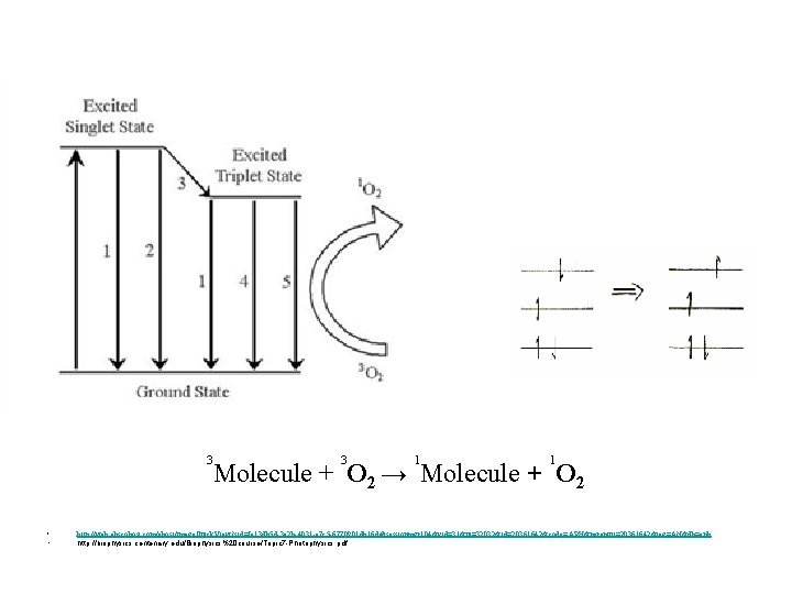 3 3 1 1 Molecule + O 2 → Molecule + O 2 •