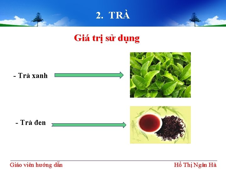 2. TRÀ Giá trị sử dụng - Trà xanh - Trà đen Giáo viên