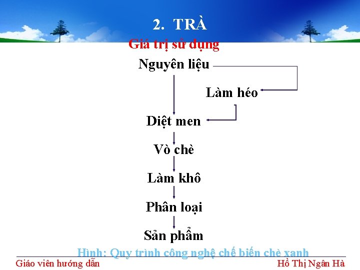 2. TRÀ Giá trị sử dụng Nguyên liệu Làm héo Diệt men Vò chè