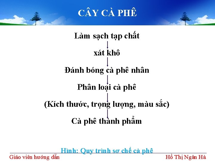C Y CÀ PHÊ Làm sạch tạp chất xát khô Đánh bóng cà phê C Y CÀ PHÊ Làm sạch tạp chất xát khô Đánh bóng cà phê