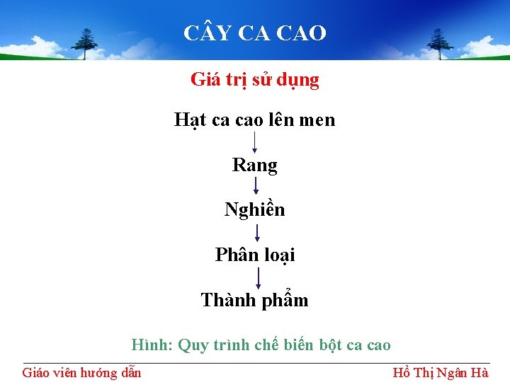 C Y CA CAO Giá trị sử dụng Hạt ca cao lên men Rang C Y CA CAO Giá trị sử dụng Hạt ca cao lên men Rang