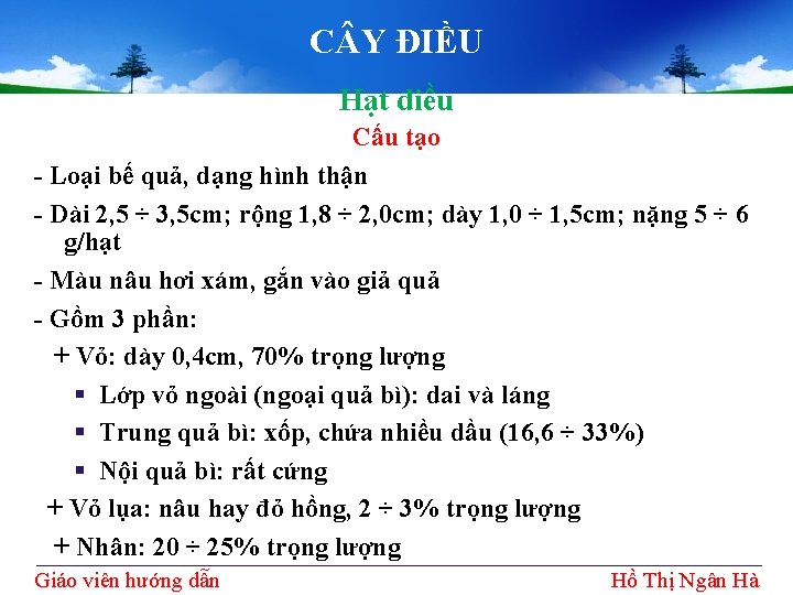 C Y ĐIỀU Hạt điều Cấu tạo - Loại bế quả, dạng hình thận