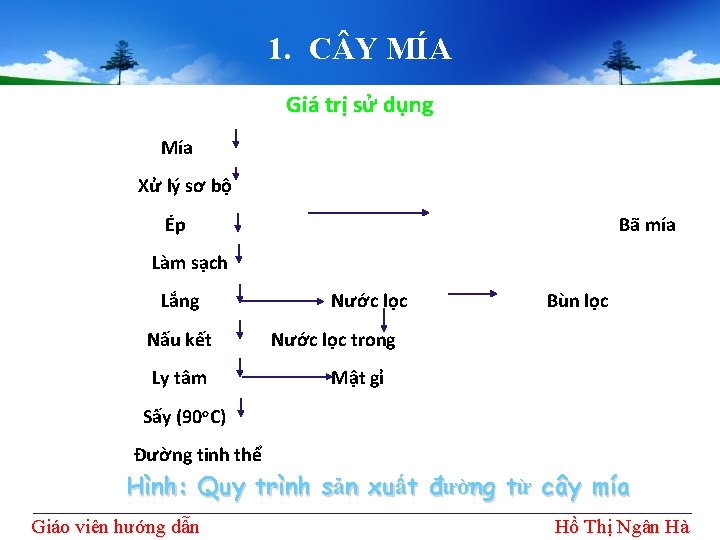 1. C Y MÍA Giá trị sử dụng Mía Xử lý sơ bộ Ép