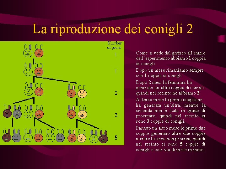 La riproduzione dei conigli 2 Come si vede dal grafico all’inizio dell’esperimento abbiamo 1