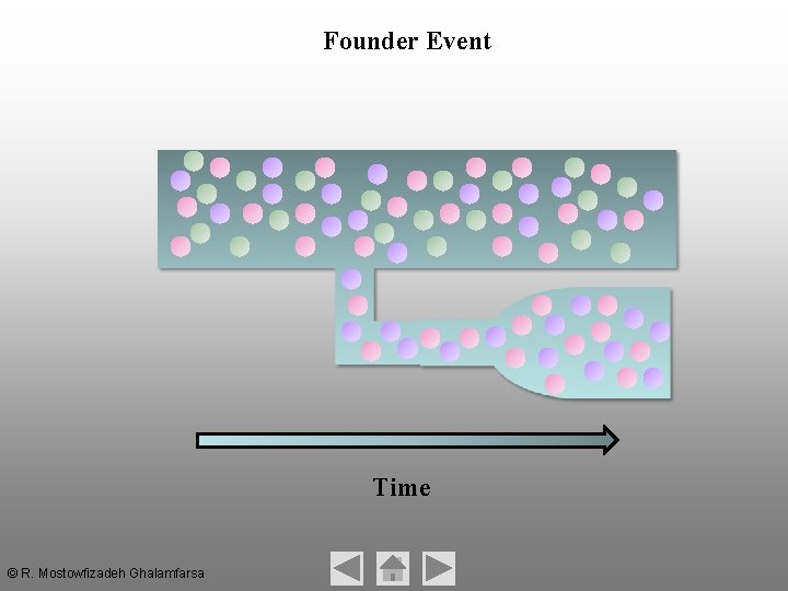 Founder Event Time © R. Mostowfizadeh Ghalamfarsa Founder Event Time © R. Mostowfizadeh Ghalamfarsa