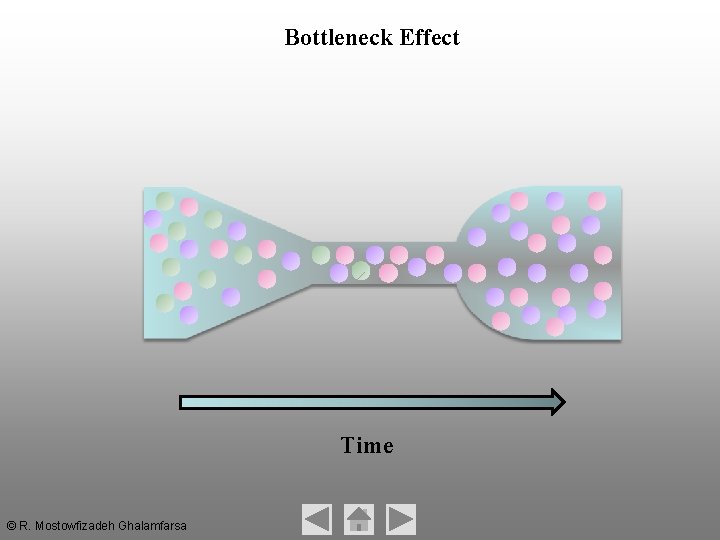 Bottleneck Effect Time © R. Mostowfizadeh Ghalamfarsa Bottleneck Effect Time © R. Mostowfizadeh Ghalamfarsa