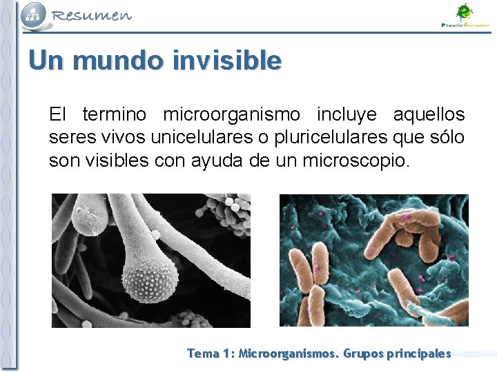 Un mundo invisible El termino microorganismo incluye aquellos seres vivos unicelulares o pluricelulares que Un mundo invisible El termino microorganismo incluye aquellos seres vivos unicelulares o pluricelulares que