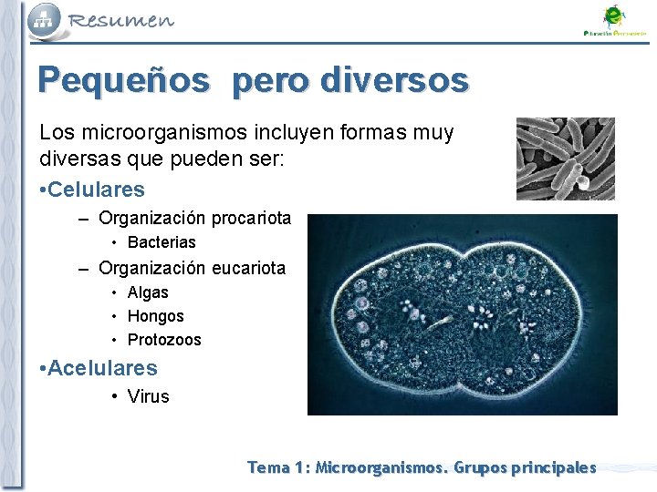 Pequeños pero diversos Los microorganismos incluyen formas muy diversas que pueden ser: • Celulares Pequeños pero diversos Los microorganismos incluyen formas muy diversas que pueden ser: • Celulares