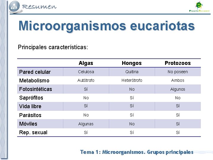 Microorganismos eucariotas Principales características: Algas Hongos Protozoos Pared celular Celulosa Quitina No poseen Metabolismo Microorganismos eucariotas Principales características: Algas Hongos Protozoos Pared celular Celulosa Quitina No poseen Metabolismo