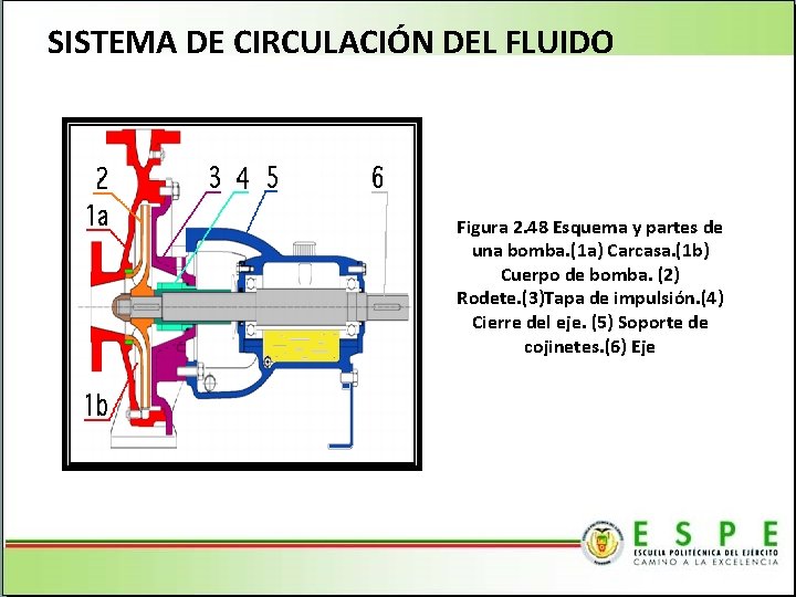 SISTEMA DE CIRCULACIÓN DEL FLUIDO Figura 2. 48 Esquema y partes de una bomba.