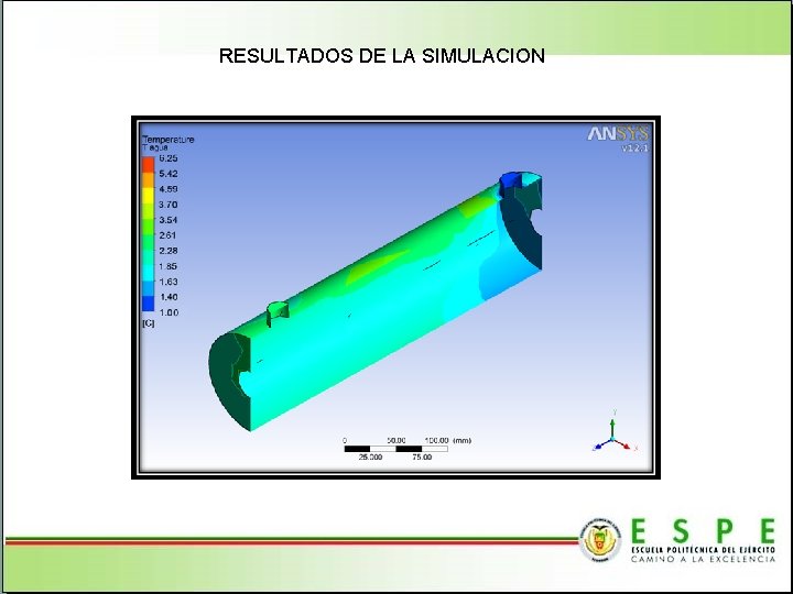 RESULTADOS DE LA SIMULACION 