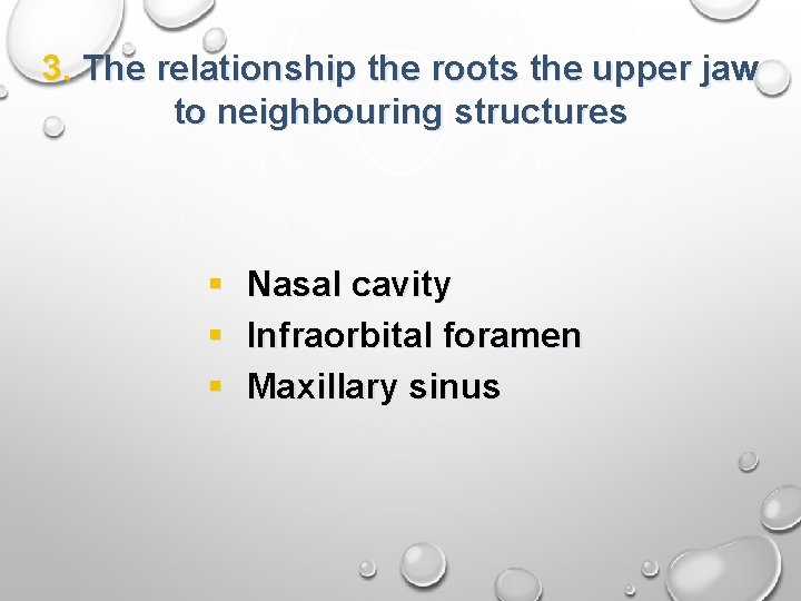 3. The relationship the roots the upper jaw to neighbouring structures § § §