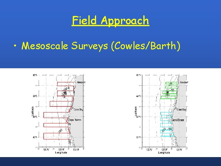 Field Approach • Mesoscale Surveys (Cowles/Barth) 