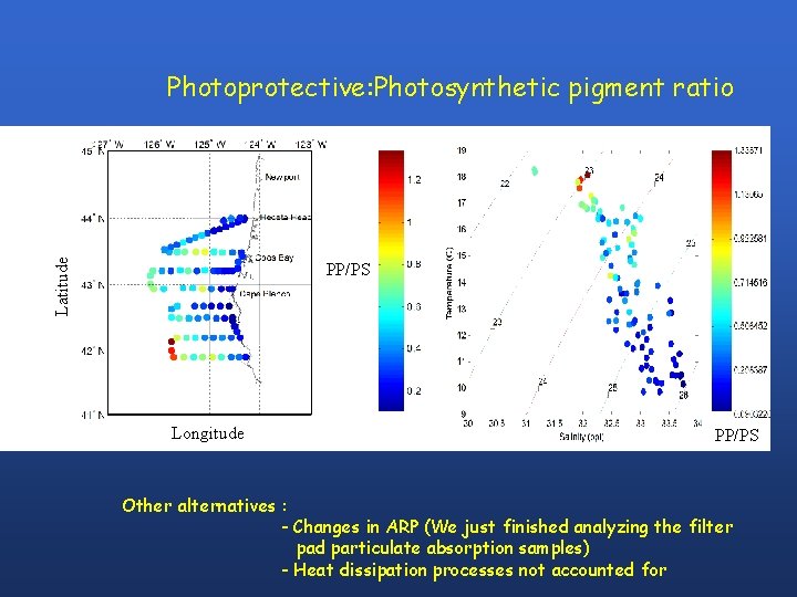 Latitude Photoprotective: Photosynthetic pigment ratio PP/PS Longitude PP/PS Other alternatives : - Changes in