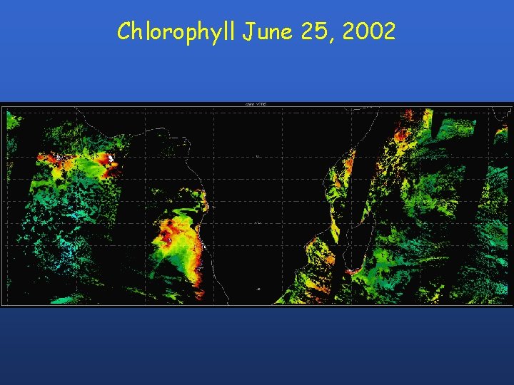 Chlorophyll June 25, 2002 