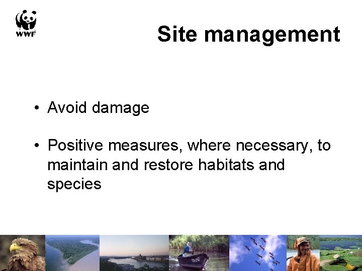 Site management • Avoid damage • Positive measures, where necessary, to maintain and restore