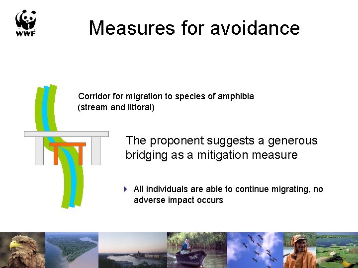 Measures for avoidance Corridor for migration to species of amphibia (stream and littoral) The