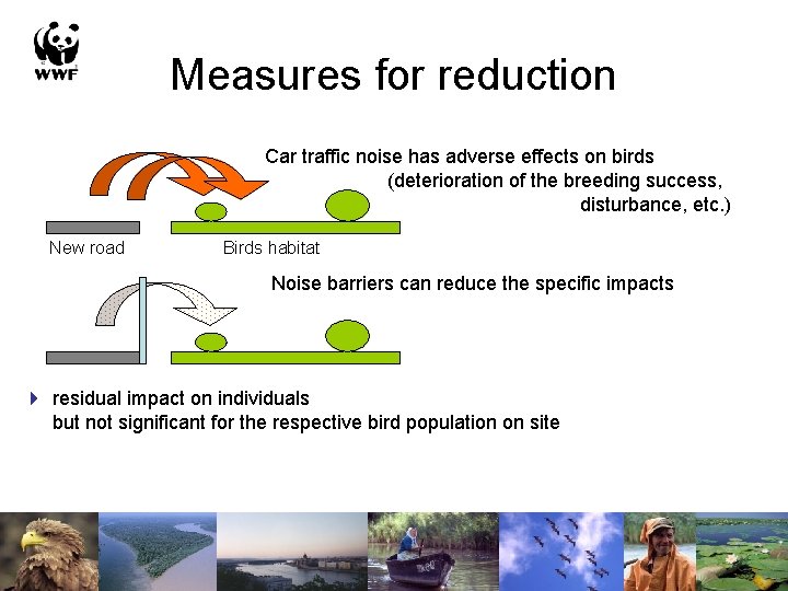 Measures for reduction Car traffic noise has adverse effects on birds (deterioration of the