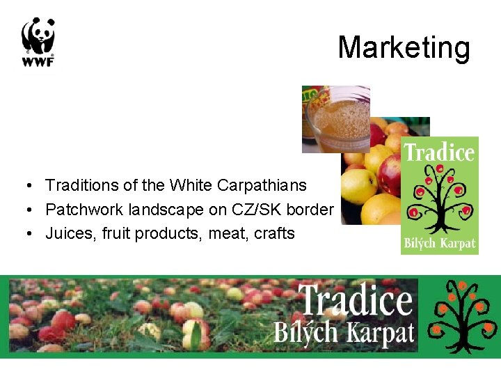 Marketing • Traditions of the White Carpathians • Patchwork landscape on CZ/SK border •