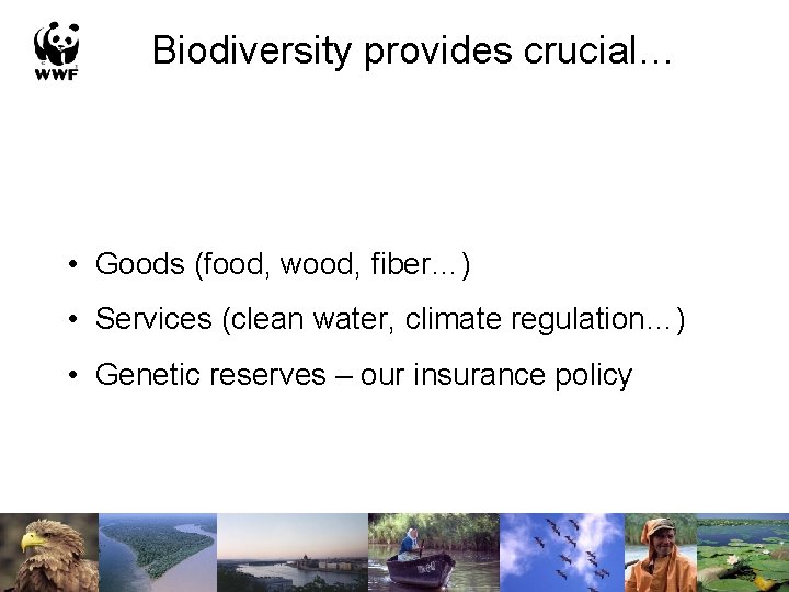 Biodiversity provides crucial… • Goods (food, wood, fiber…) • Services (clean water, climate regulation…)