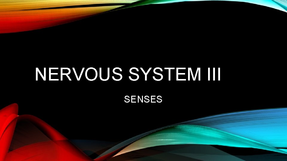 NERVOUS SYSTEM III SENSES NERVOUS SYSTEM III SENSES