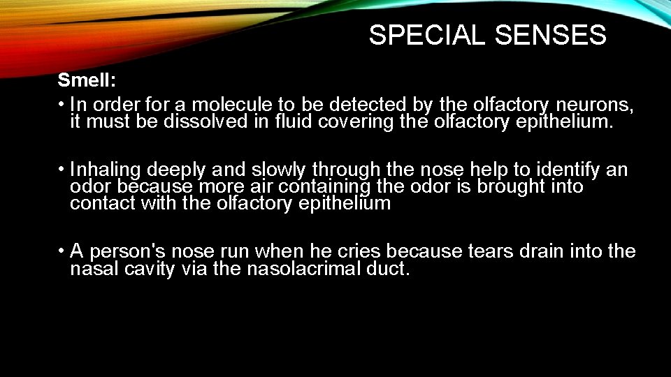SPECIAL SENSES Smell: • In order for a molecule to be detected by the SPECIAL SENSES Smell: • In order for a molecule to be detected by the